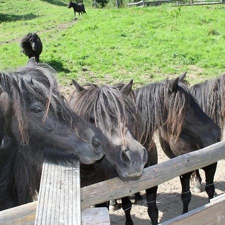 Rezydencja Lesny Dwor Piwniczna-Zdroj Exterior foto