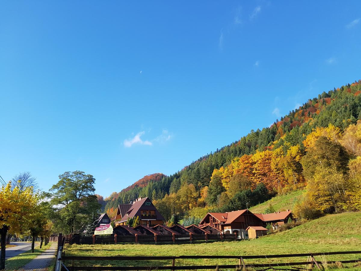 Rezydencja Lesny Dwor Piwniczna-Zdroj Exterior foto